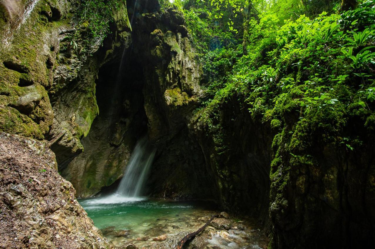 Hotel Garni My Ledro Пиеве ди Ледро Екстериор снимка
